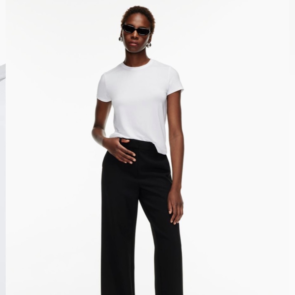 NWT Aritzia Babaton Everyday T Shirt